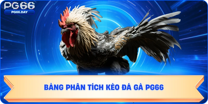 Bảng phân tích kèo đá gà PG66